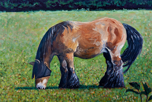 Ik maak kleine olieverfschilderijen van alledaagse (boerderij)dieren, die in hun alledaagsheid mooi en vol karakter zijn. Het schilderen op klein formaat geeft veel voldoening.