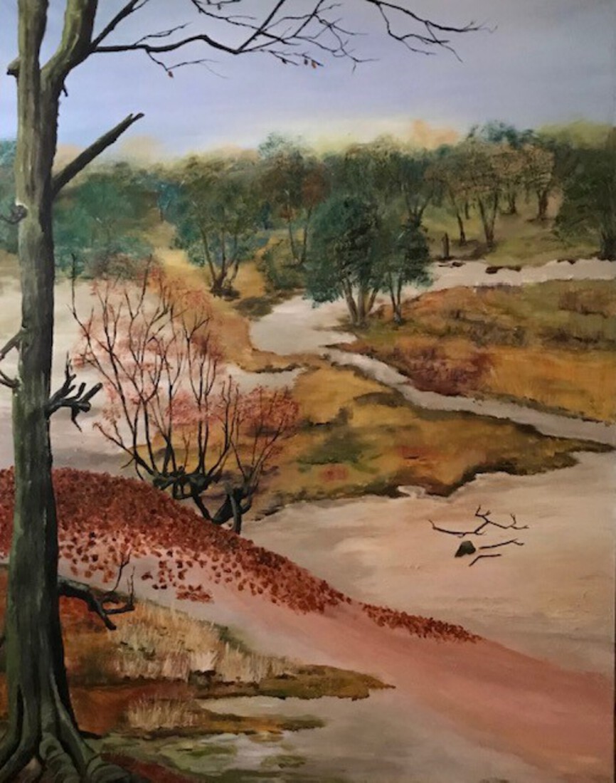 Slabroekse Heide bij Maashorst ( Uden )