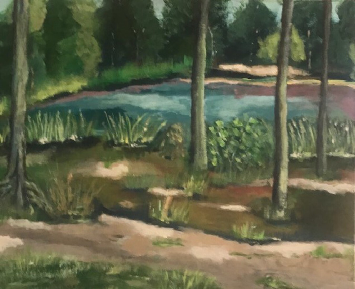 Vijver in het Mastbos Breda