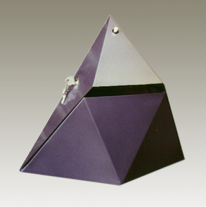 gemodelleerde basisideeën en experimenten die nog in uitontwikkeling zijn.