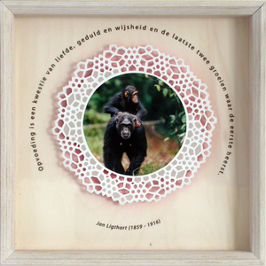 tot stand gebrachte interieur- en kunstprojecten. 
soms in samenwerking met anderen. 