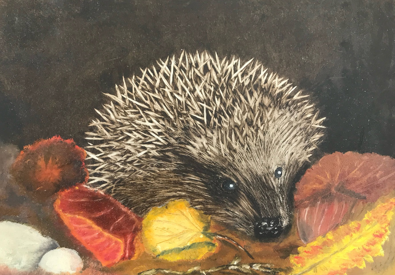 Egel in bos