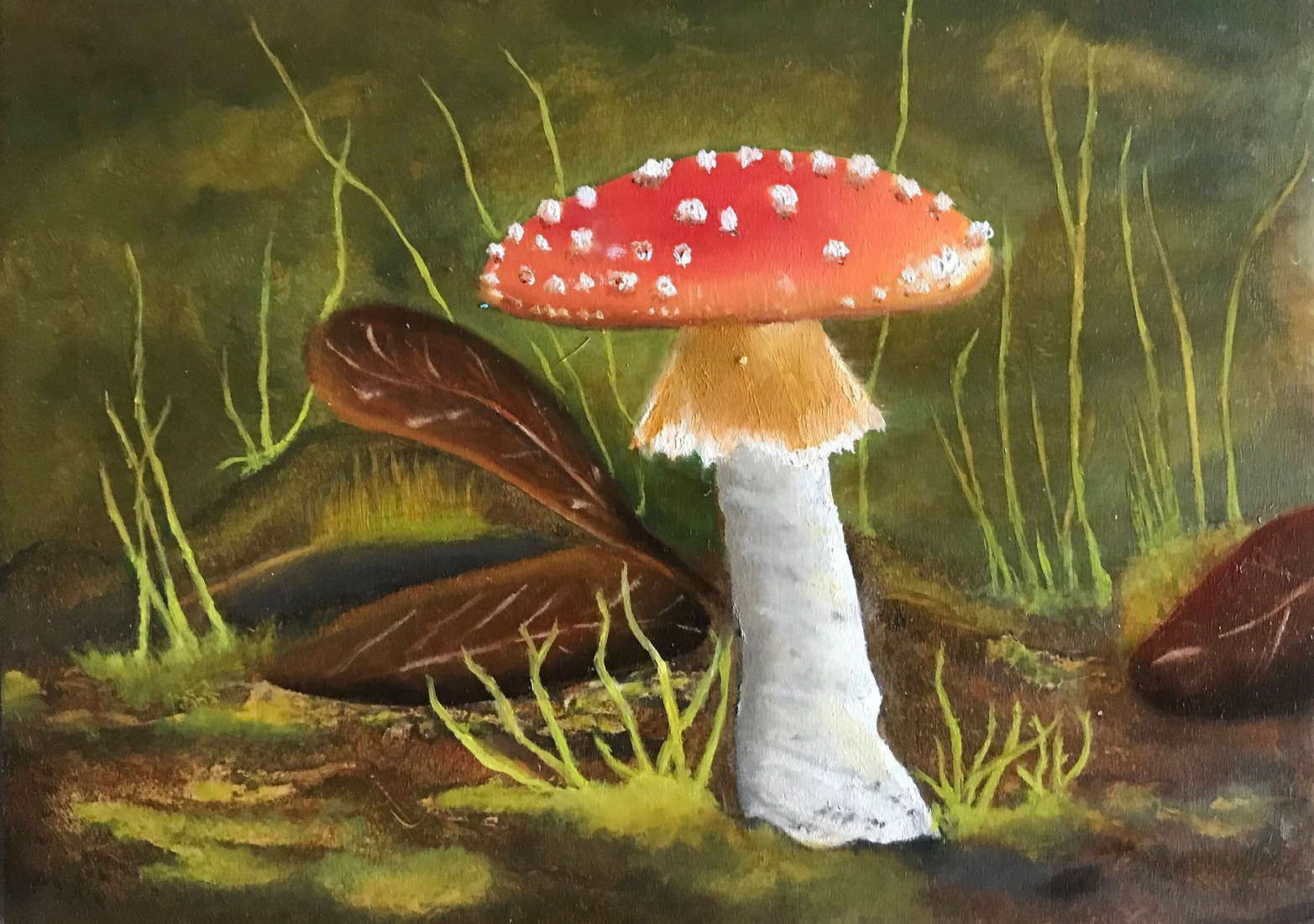 Vliegenzwam Paddenstoel in bos