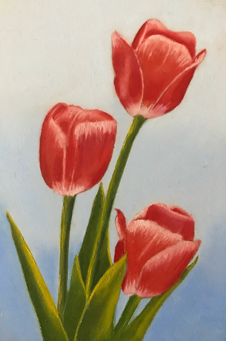Tulpen