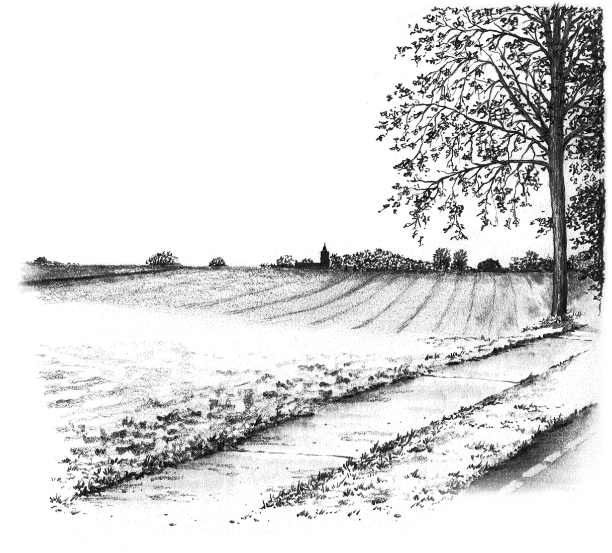 Bingelrade gezien vanaf de Kneijkuilerweg, Limburg