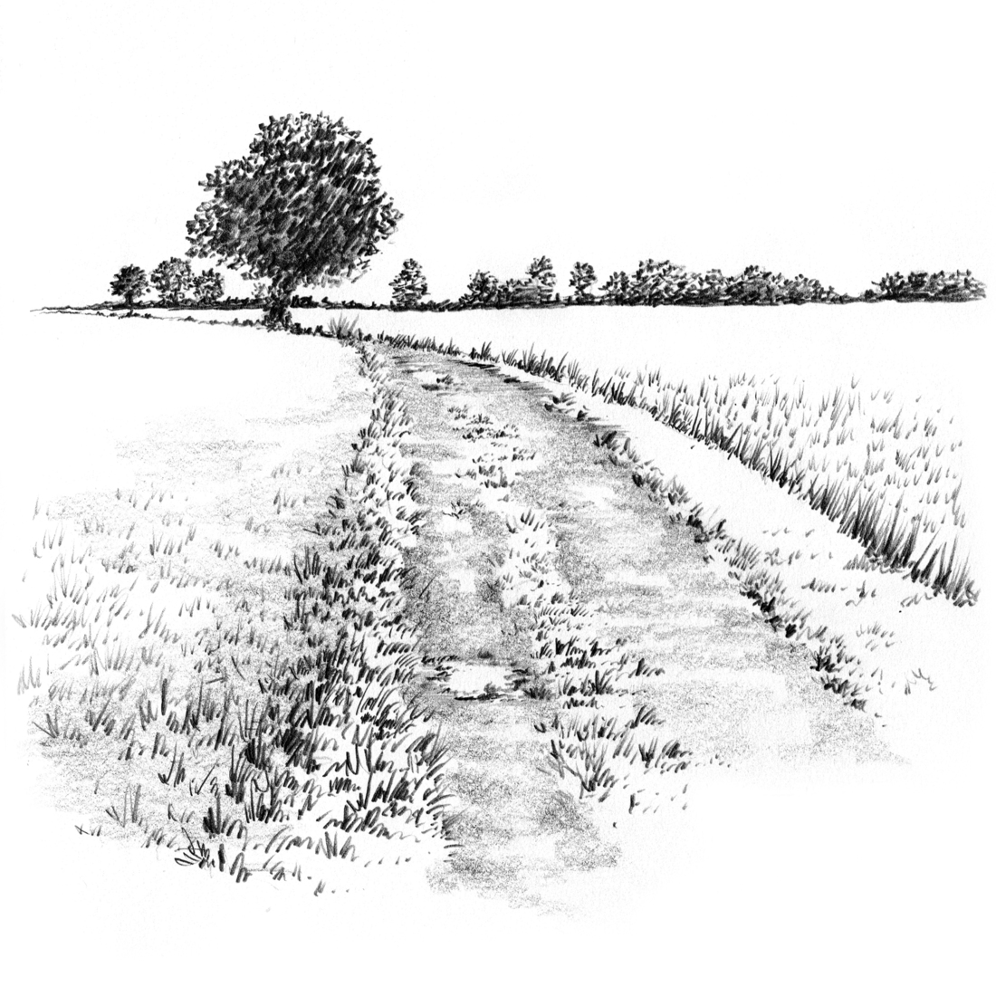 Kruissteenstraat tussen Bemelen en Terblijt, Limburg