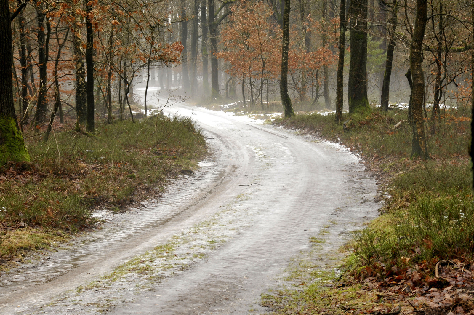 Dooi in de Loenermark