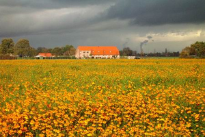 Werk wat is tentoongesteld in het Noordbrabants Museum in den Bosch n.a.v. 