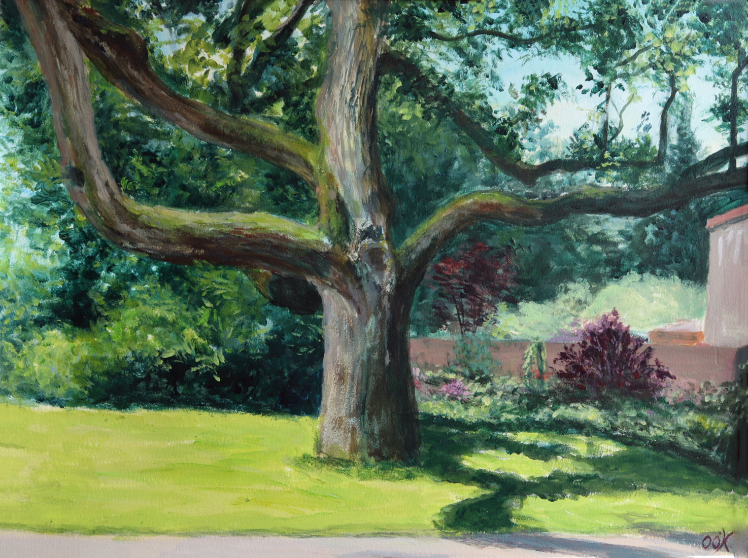 Magische Boom, Houten