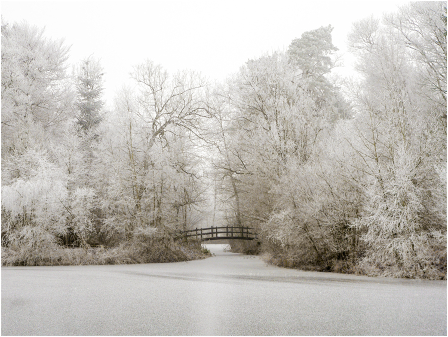 Mist + rijp = dubbelop 4