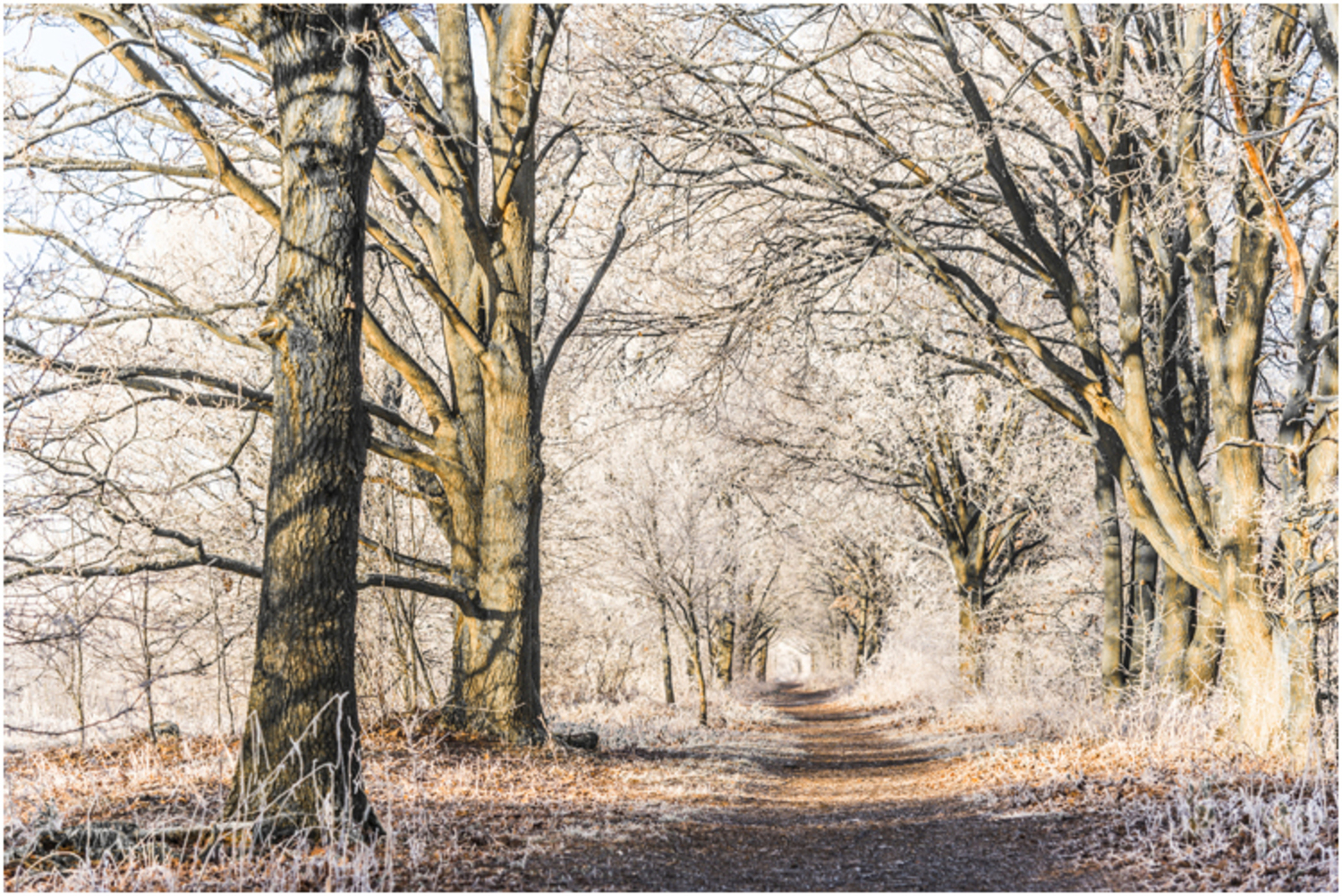 voormalige halve-zolen-lijn