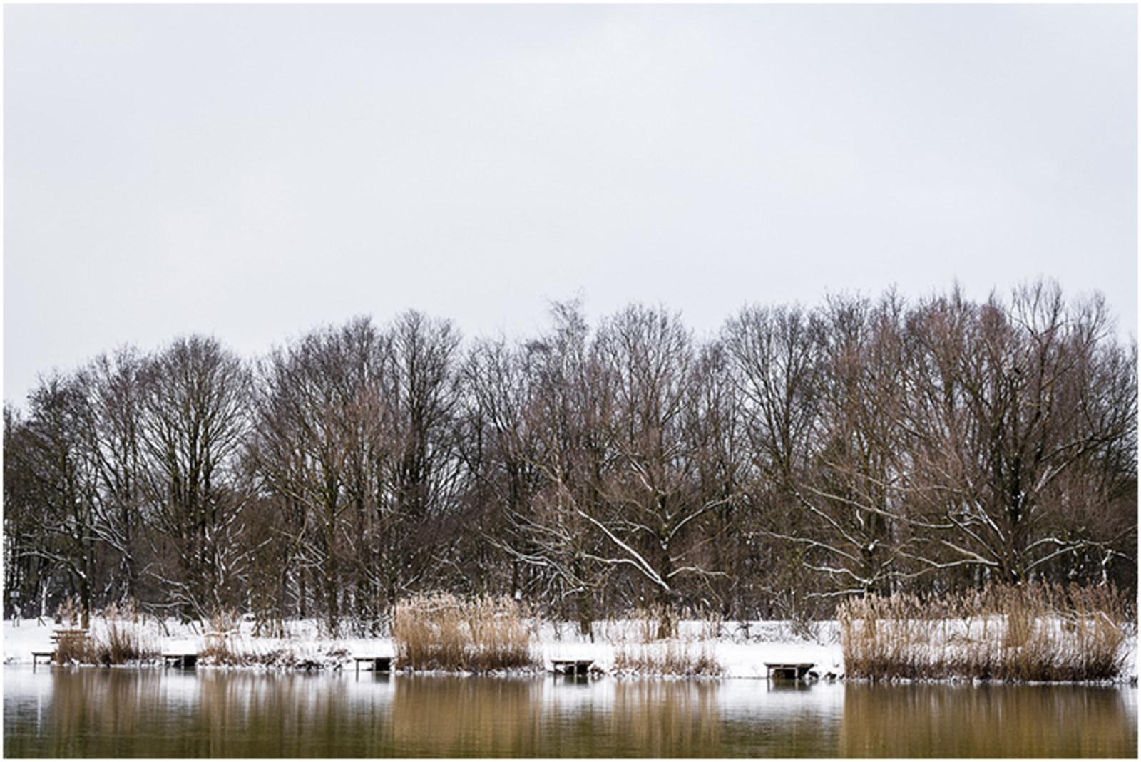 Visvijver De Kleuter