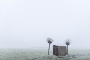 Mist, een kleine wereld