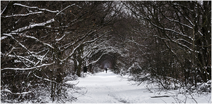 Duits lijntje = natuur