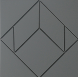 De vierkanten hebben diverse afmetingen, oplopend van 40, 50 en 60 cm.
In totaal zijn er 40 gemaakt. De gefreesde lijnen vormen een lijnenspel die in de meeste gevallen leidt tot een optische illusie. Sommige panelen kunnen zowel diagonaal als rechtstandig opgehangen worden. De objecten zijn afgewerkt met een aluminium lijst. 

Kleur: Grijs, zijdeglans op waterbasis op 18 mm mdf. De serie is gemaakt in de jaren 2018 - 2020.