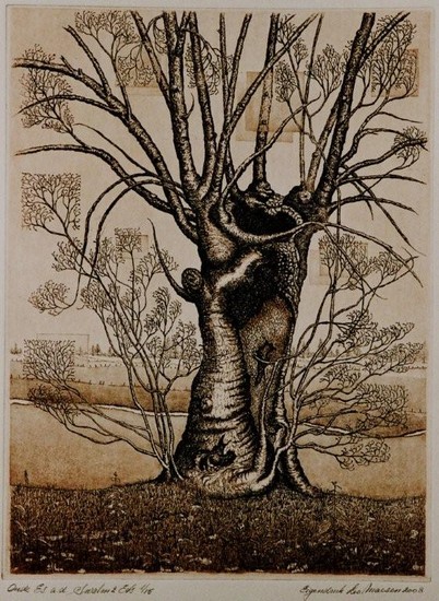 Oude Es aan de Swalm 2