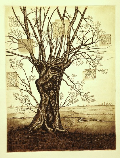 Oude Es aan de Swalm 3