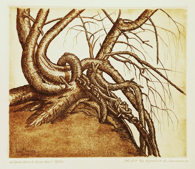 Wilgenstronk a.d.Oude Maas Rijkel