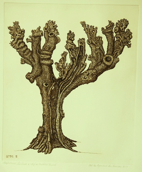 Napoleons Leilinde 1