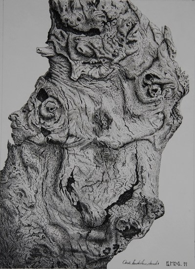 Oude Knoteikenstronk 1