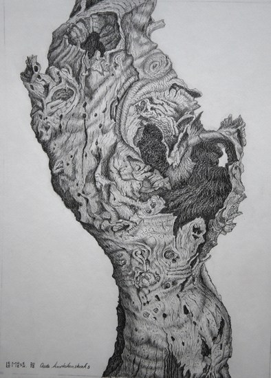 Oude Knoteikenstronk 5