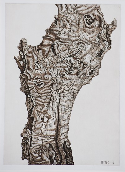 Oude Knoteiken stronk 2