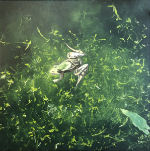 Vanaf 2000 tot heden