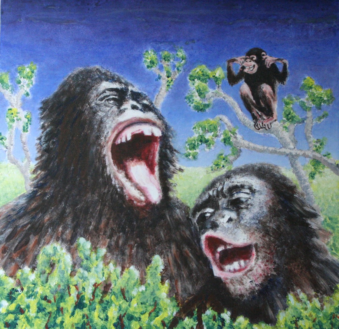 lachende chimpansees