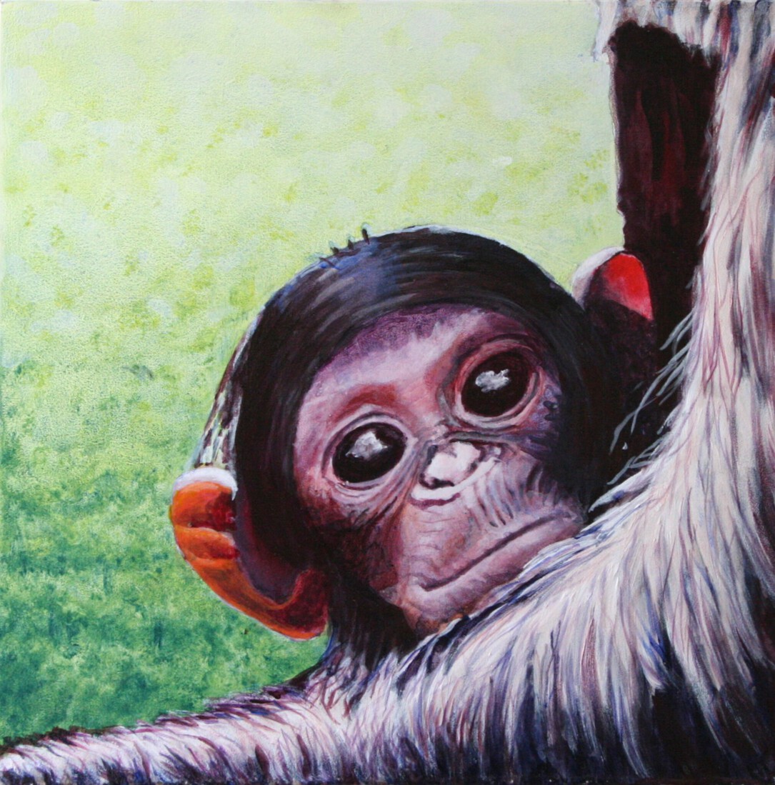 net geboren chimpansee