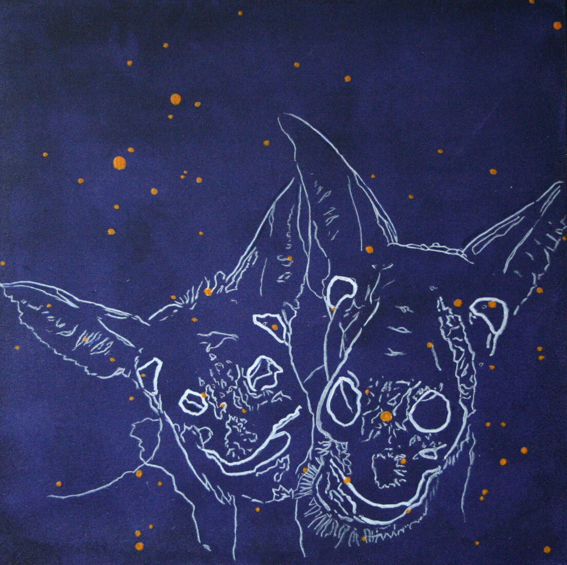 twee ezels bij nacht