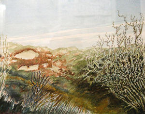 duinlandschappen en werken naar natuur