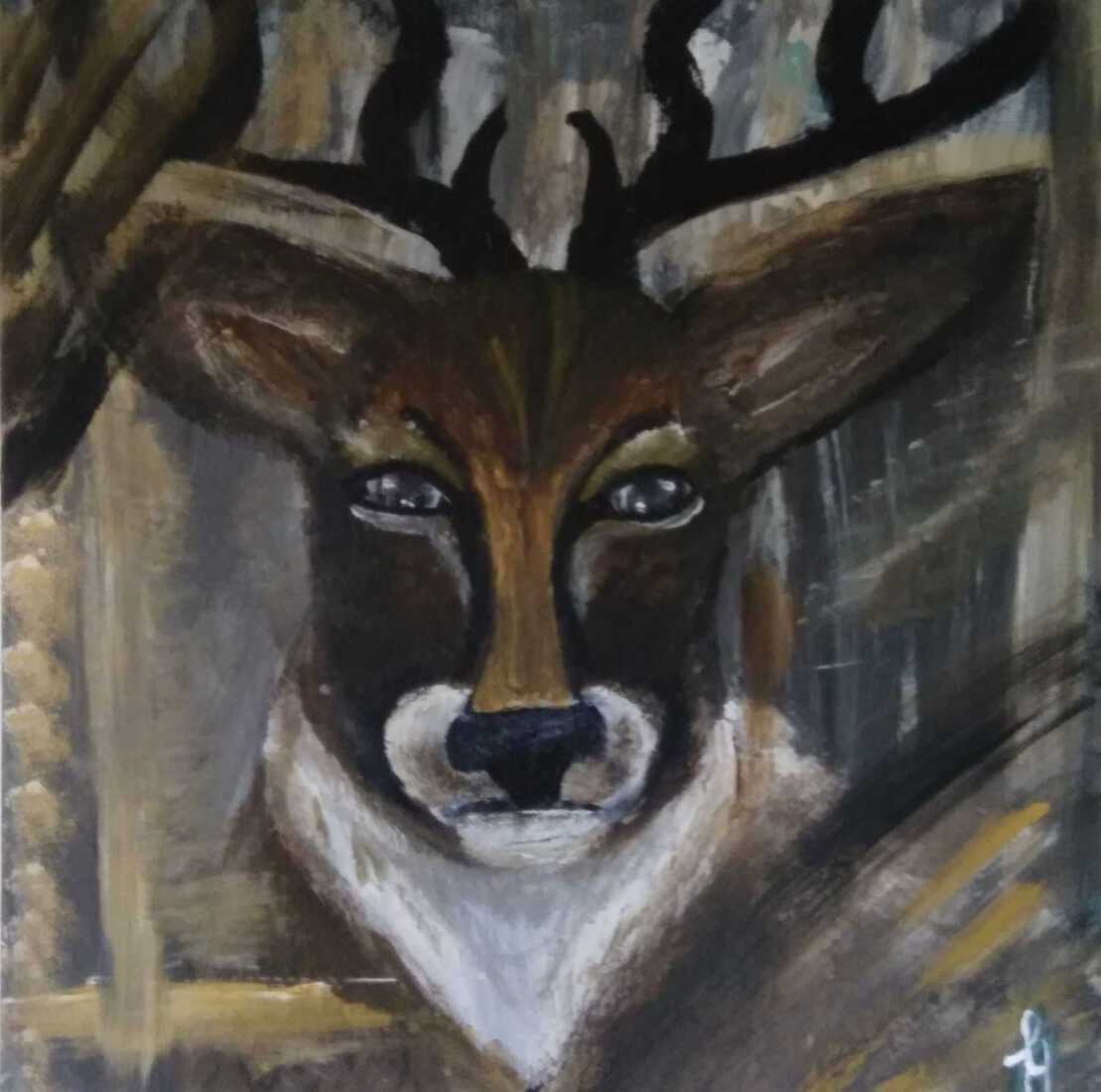 Deer male