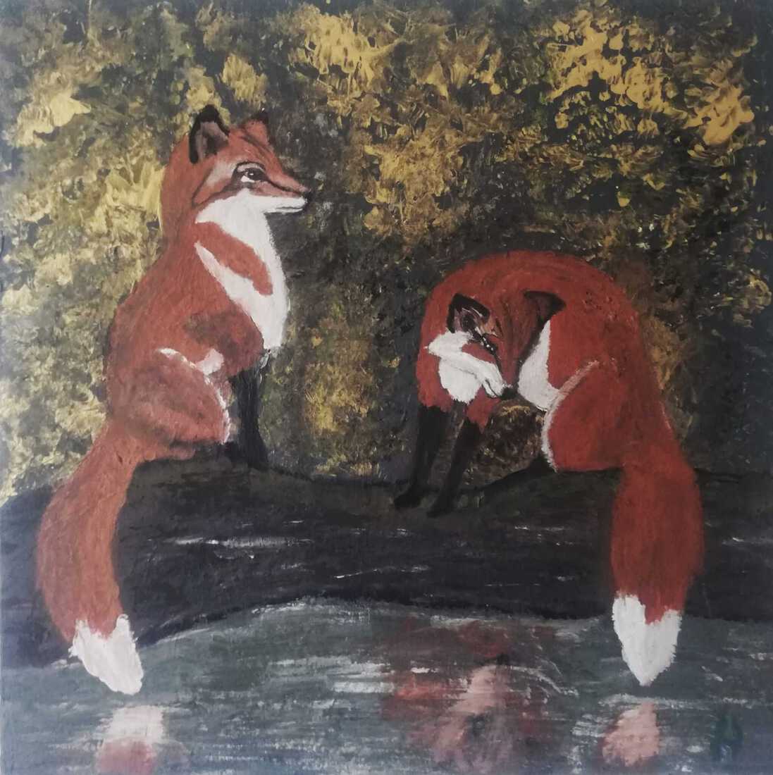 Foxes on the waterfront