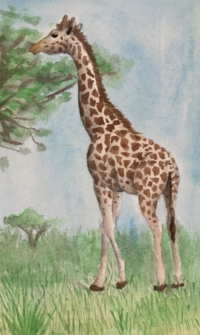 Giraffe