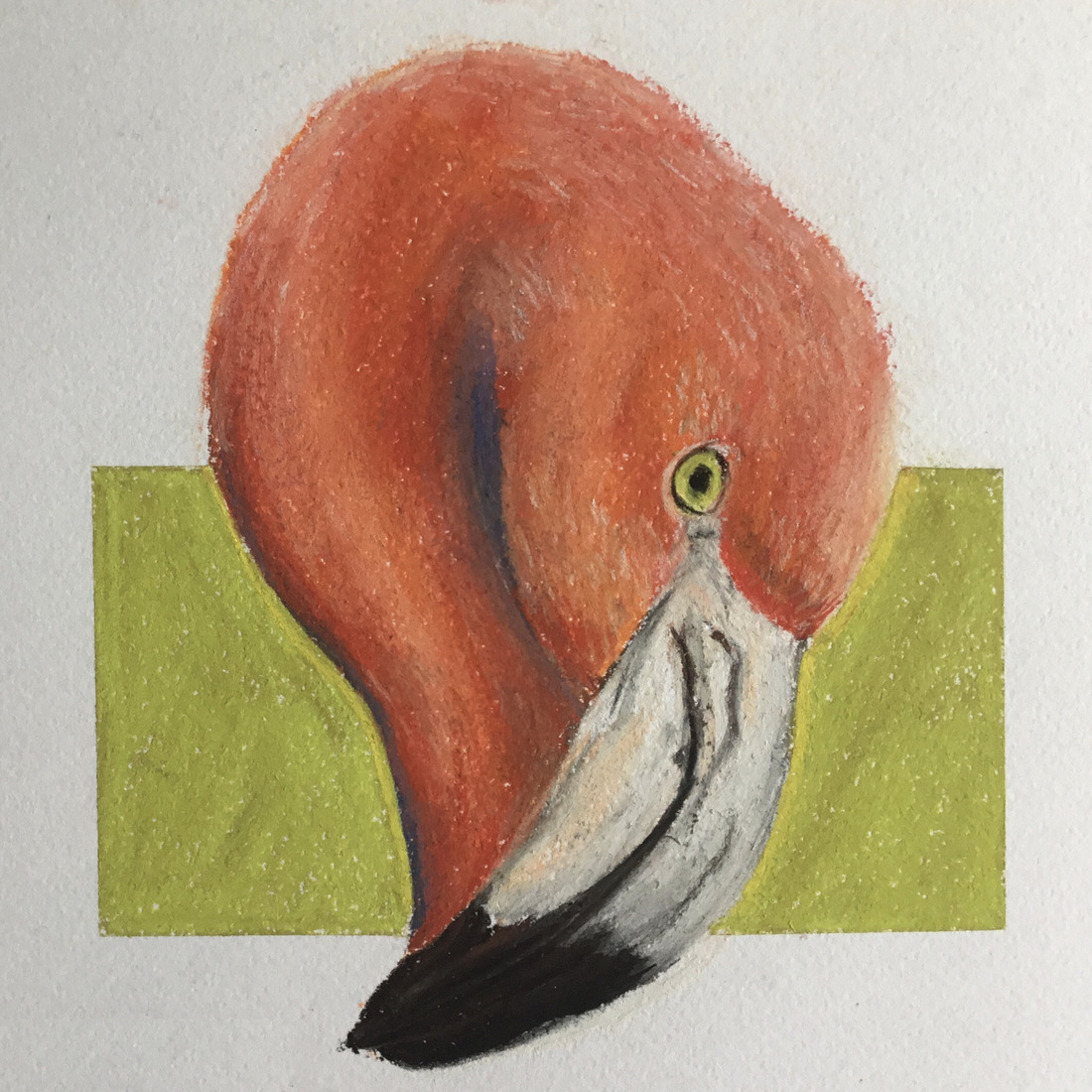 Flamingo, pastel