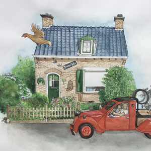 Alles wat geen dier is.