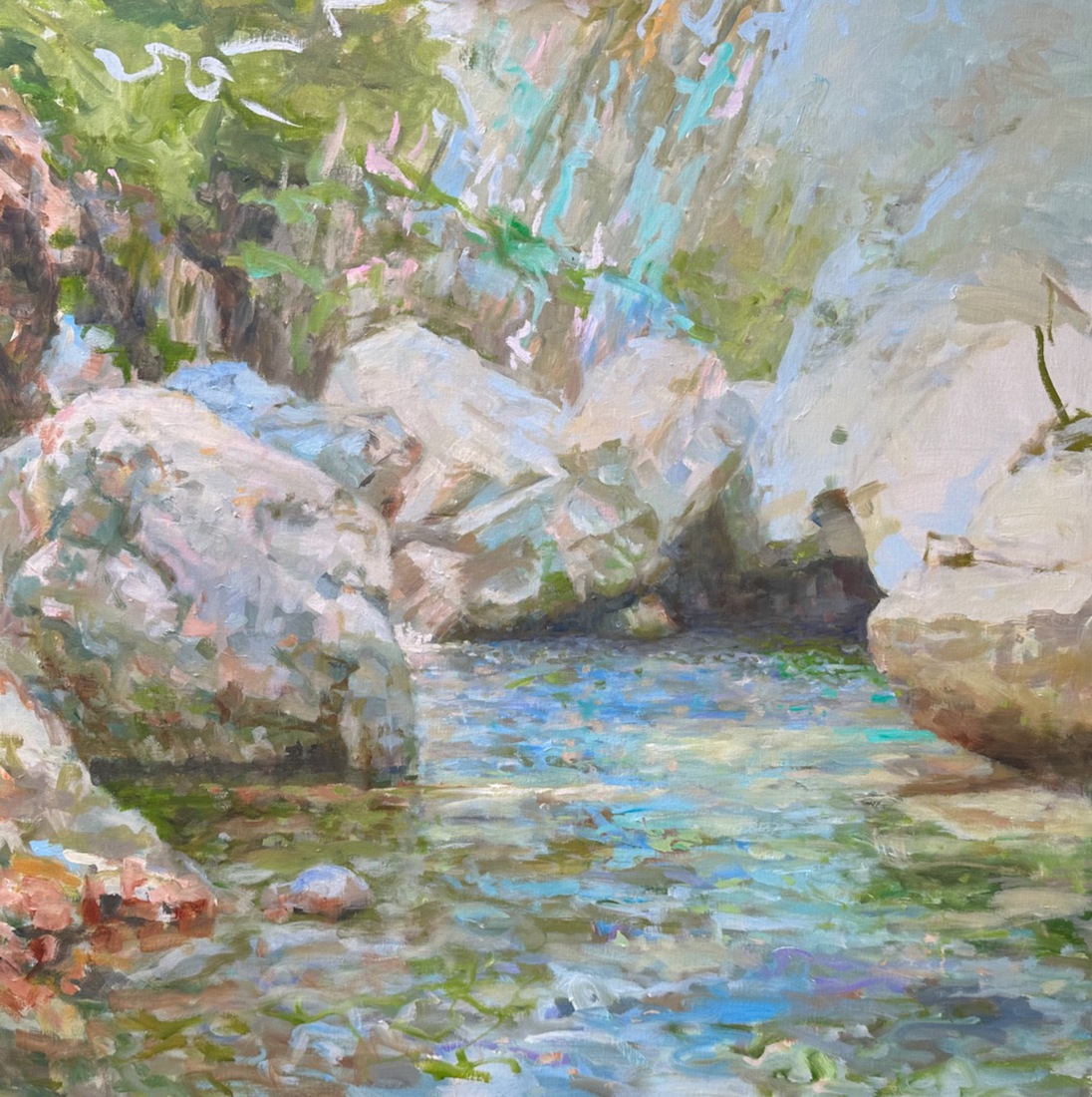 In the Tavignanu valley (Corsica) 