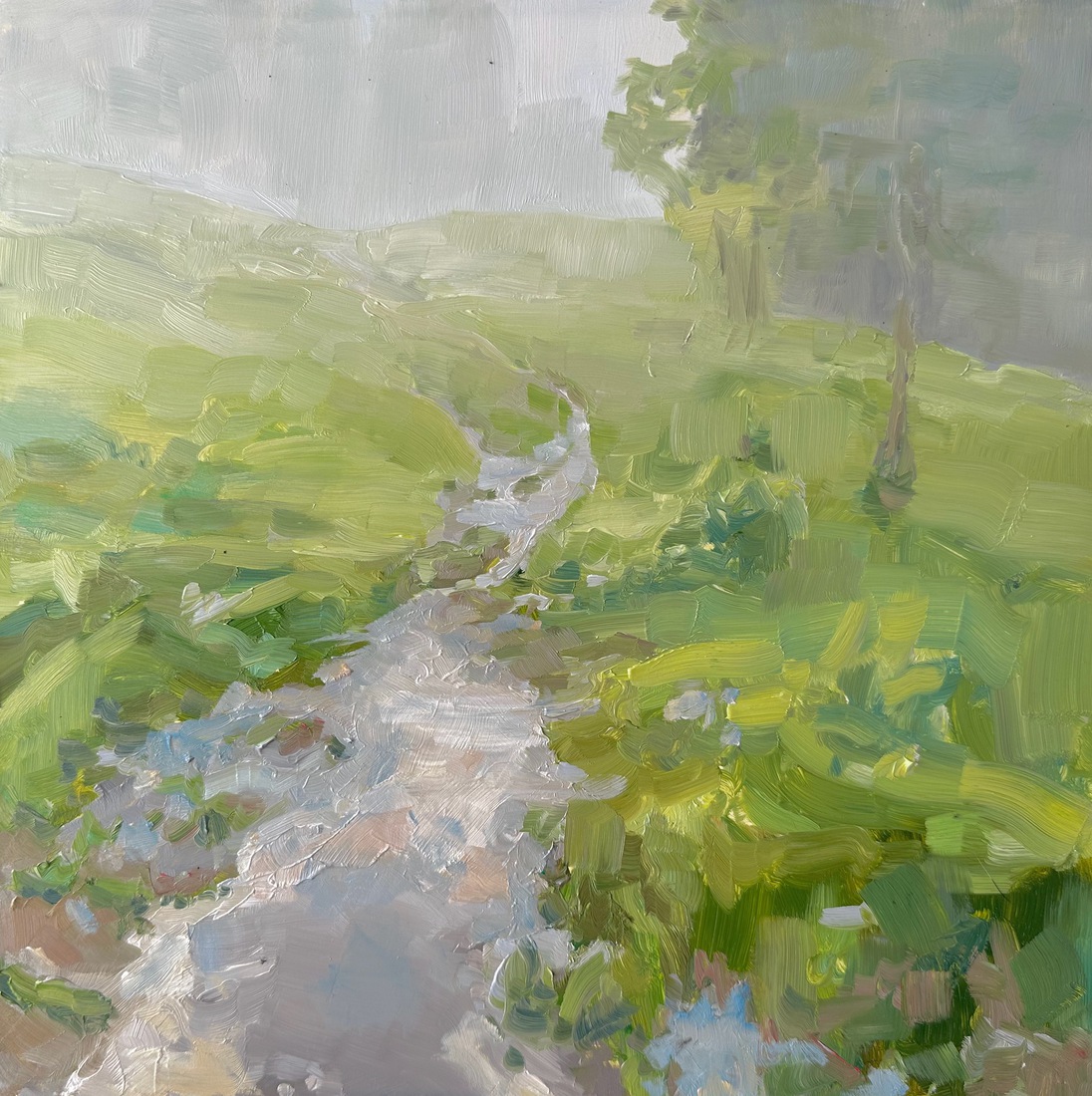 Castillon de Larboust II