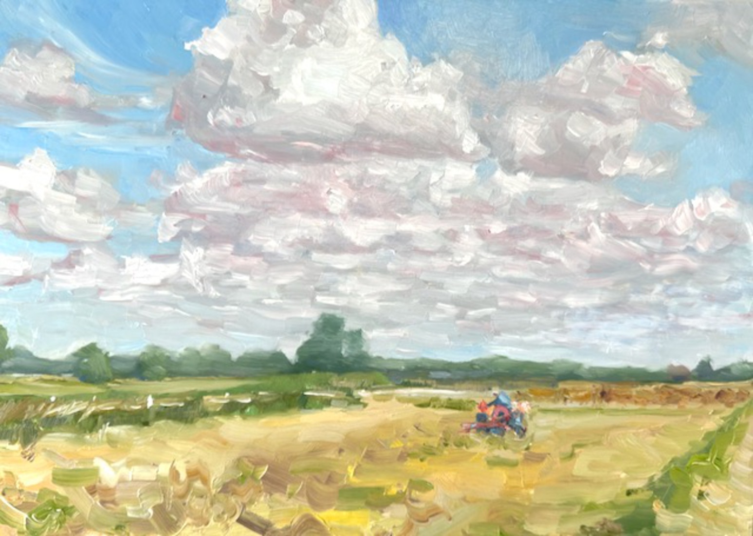 Weerlanerpolder, summer I