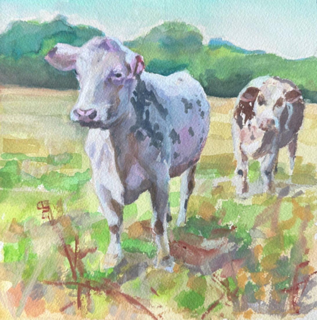 Cows IV