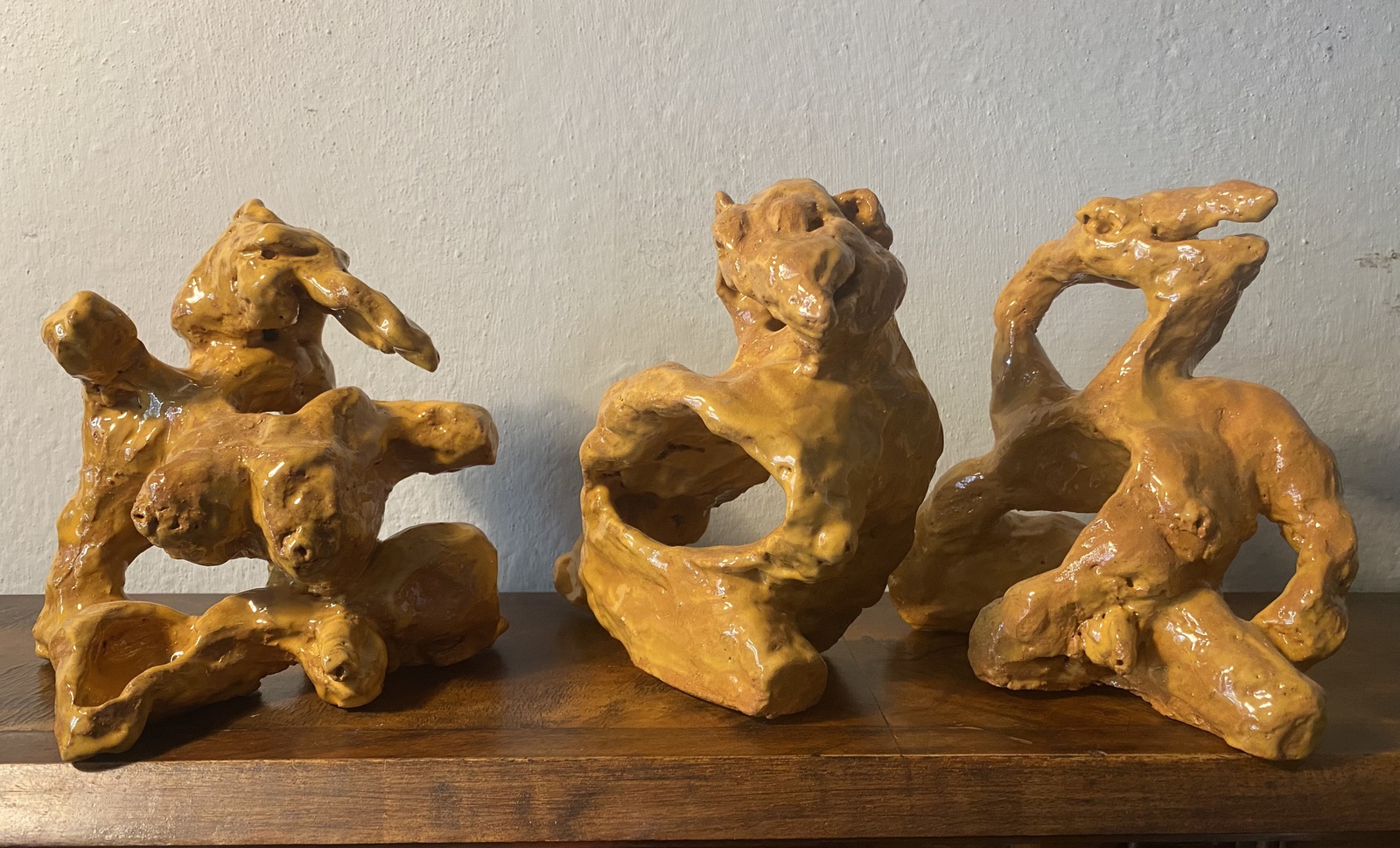 Vergeten Dieren 5,6,7 -24