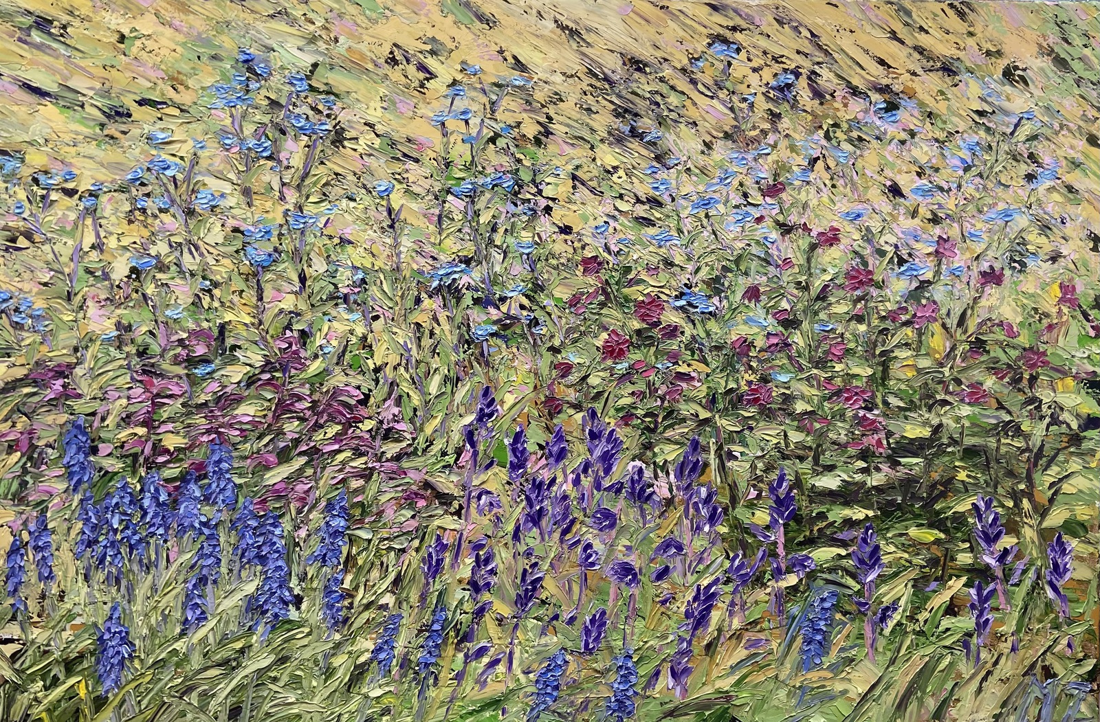 Voorjaar in de  Botanische tuin Kralingen Rotterdam