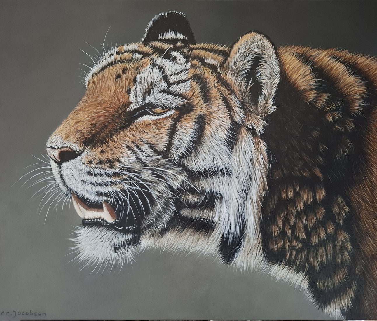 Tijger 