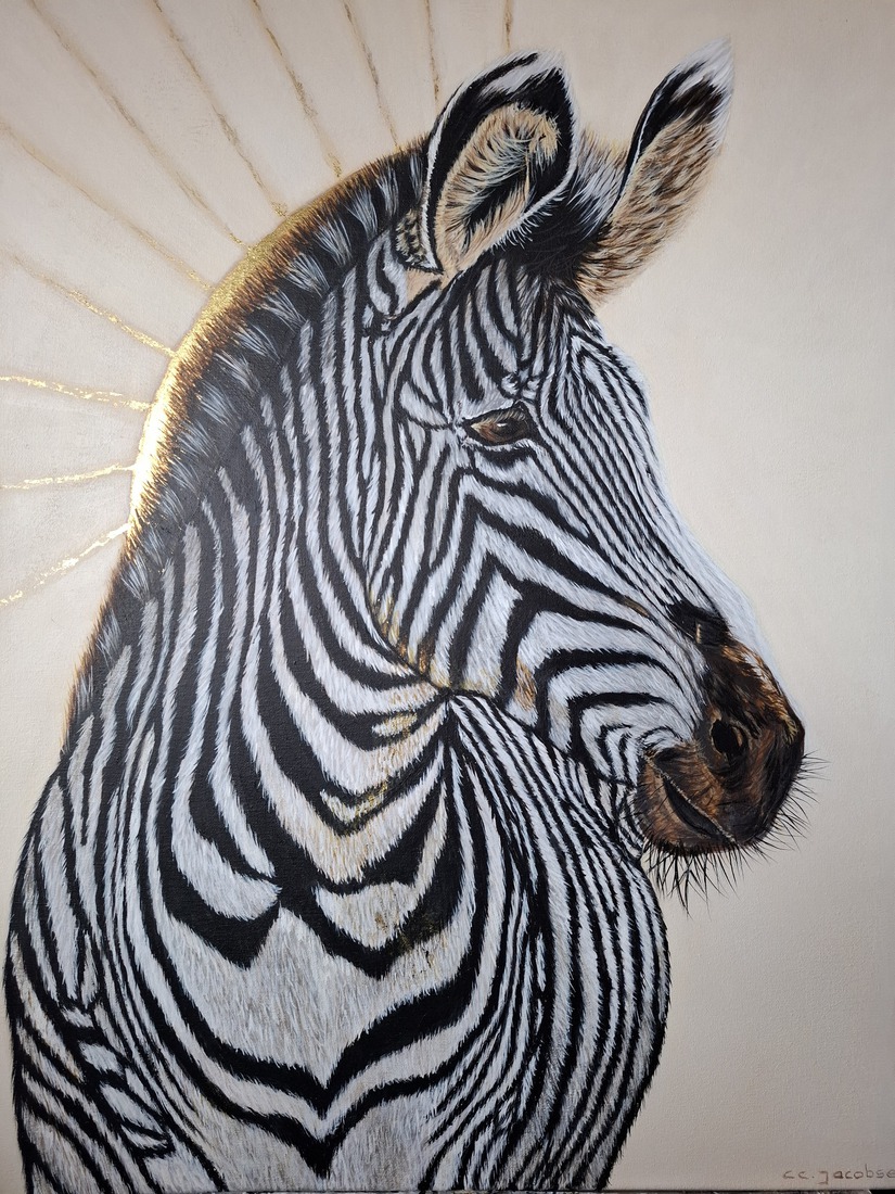 Zebra
