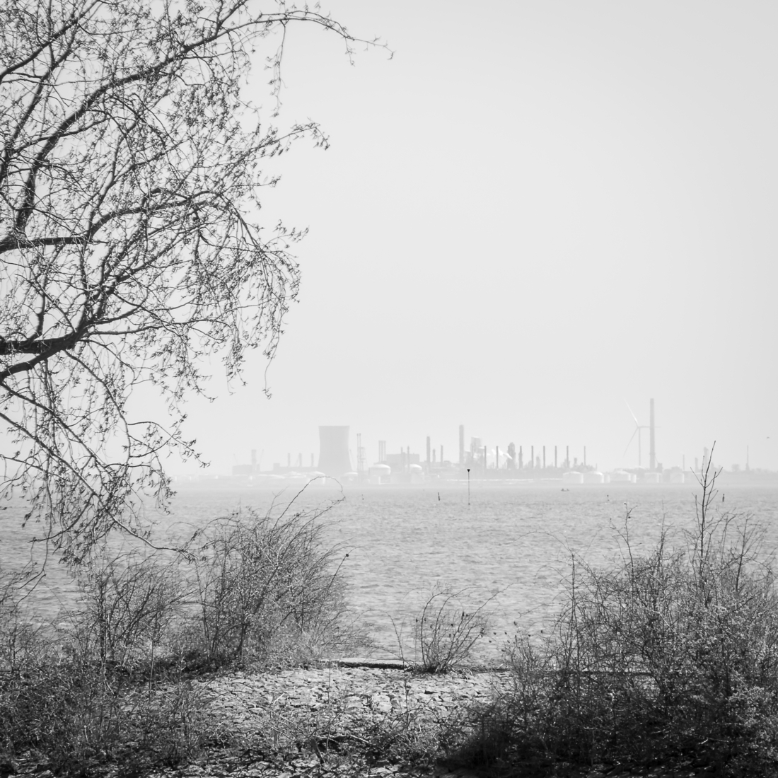 Dialogue, I [diptych]