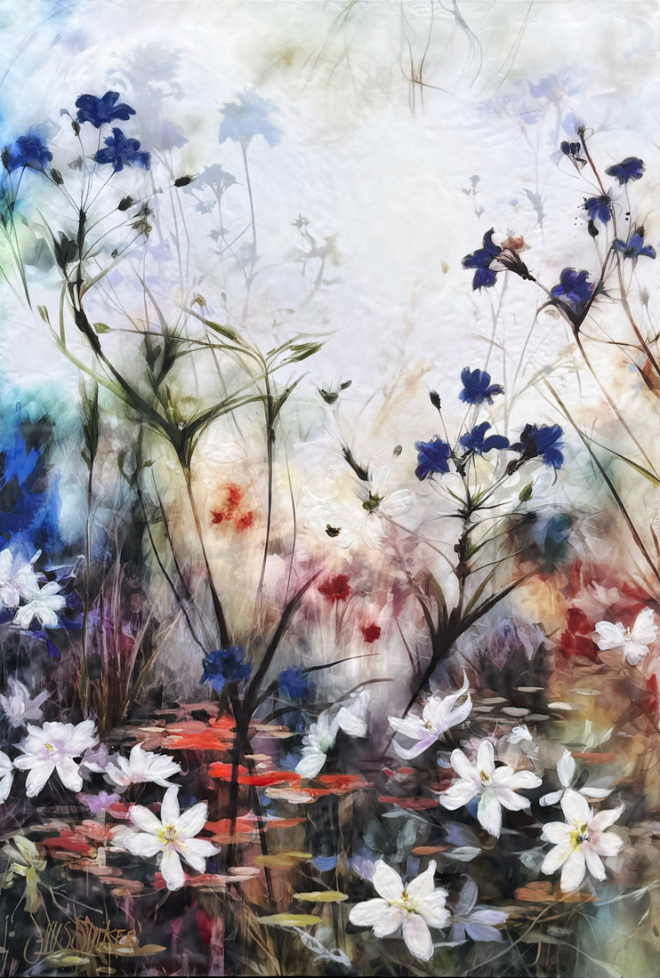 Symbiosis 120-50