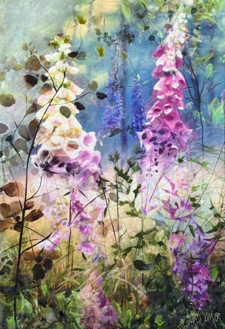 Symbiosis 120-53