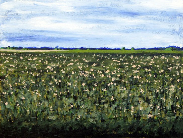 Aardappelveld bij Hoogezand