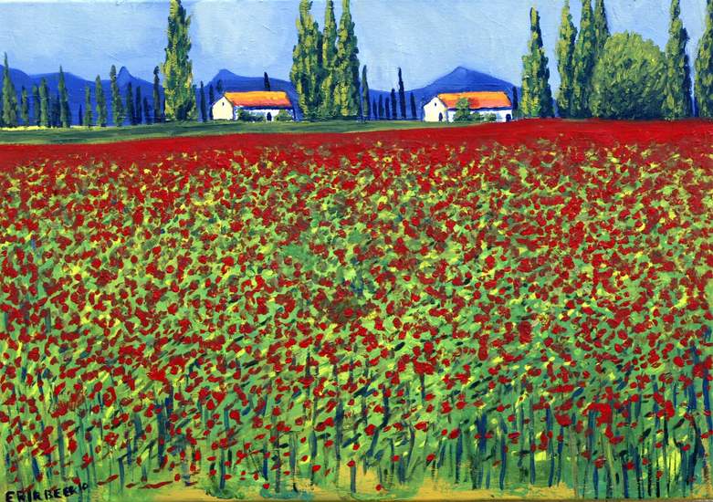 Papaverveld in de Provence