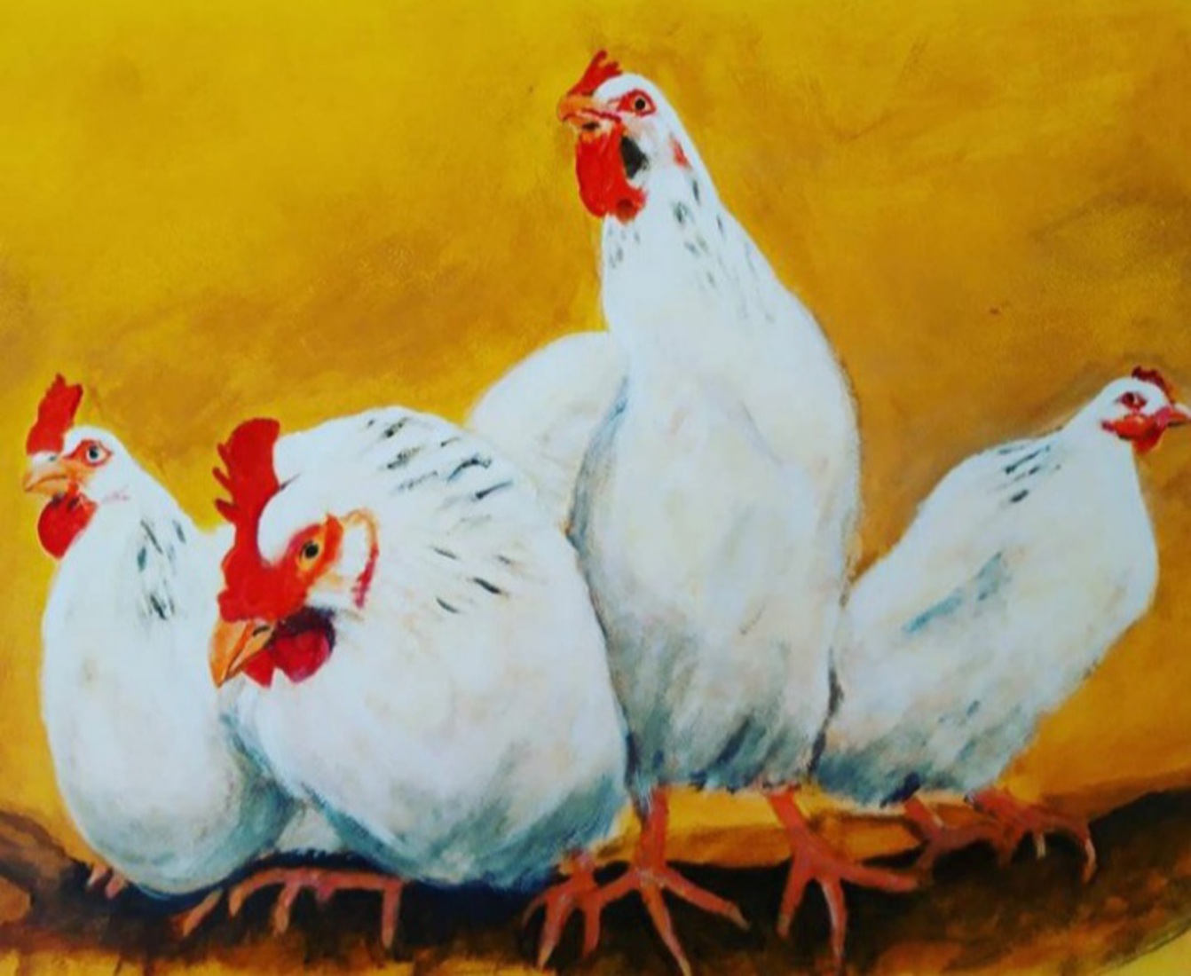 4 'ladies' talking about politics